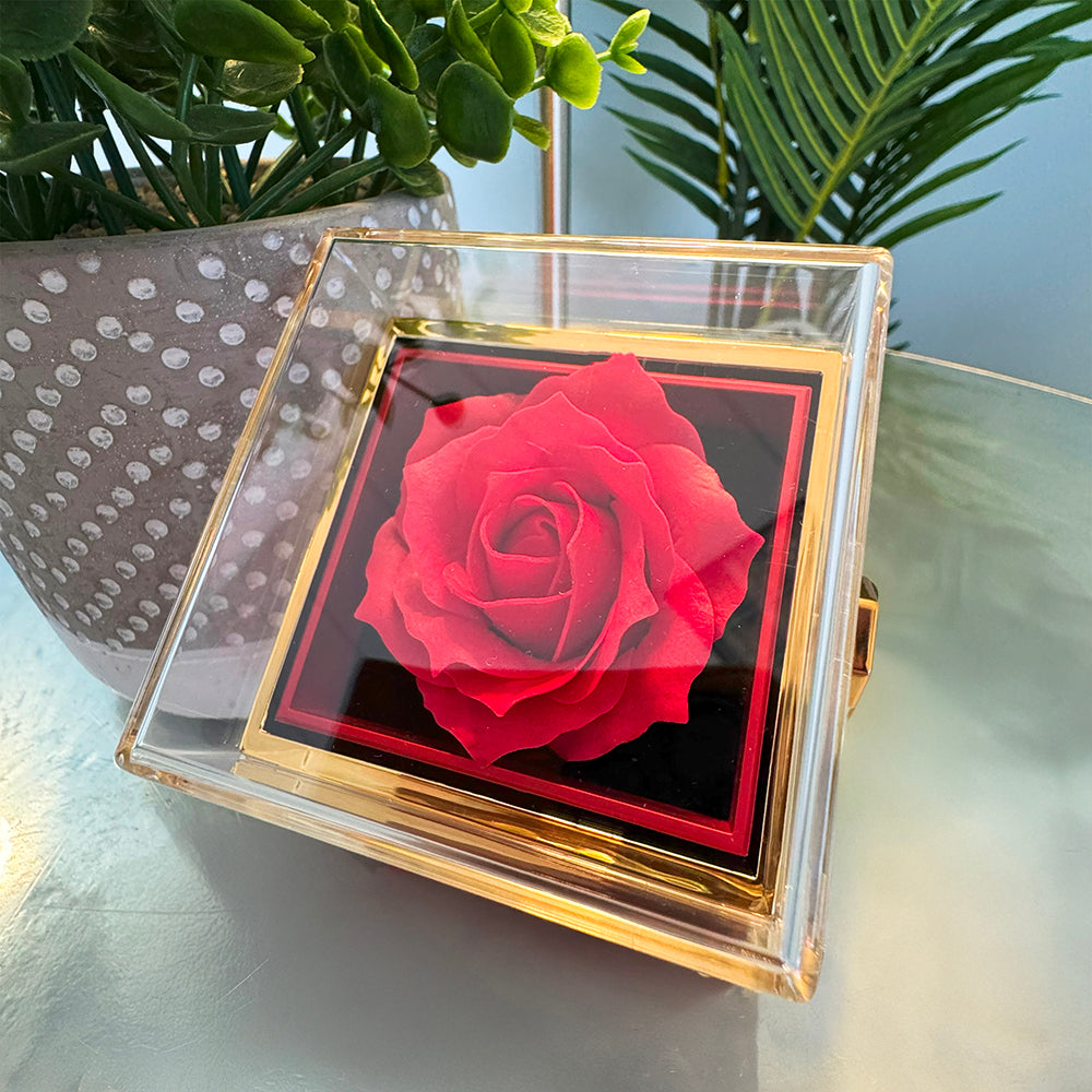 Rotating Rose Gift Box with Love Knot Pendant Necklace - FREE SHIPPING